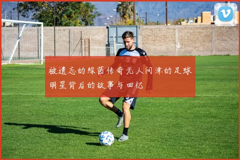 被遗忘的绿茵传奇无人问津的足球明星背后的故事与回忆