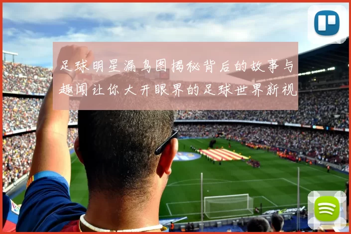 足球明星漏鸟图揭秘背后的故事与趣闻让你大开眼界的足球世界新视角